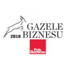 gazele biznesu