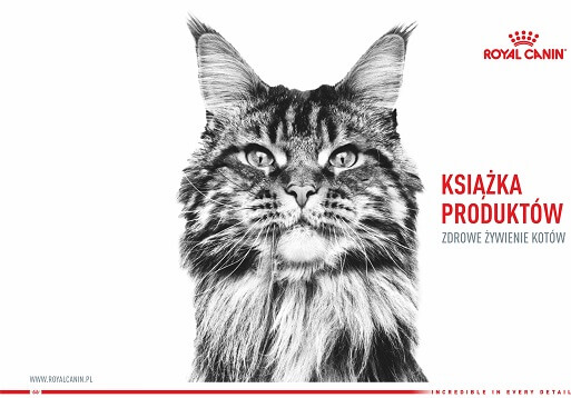 Zdrowe Żywienie Kotów