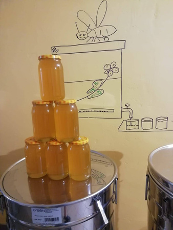 Grzegorz Brzeziński - Gospodarstwo pasieczne "Lawendowa Przystań"