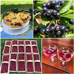 Sok z aronii tłoczony butelka 0,33 l