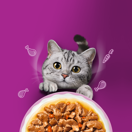 Whiskas Aromatyczna mieszanka w sosie 40x85g