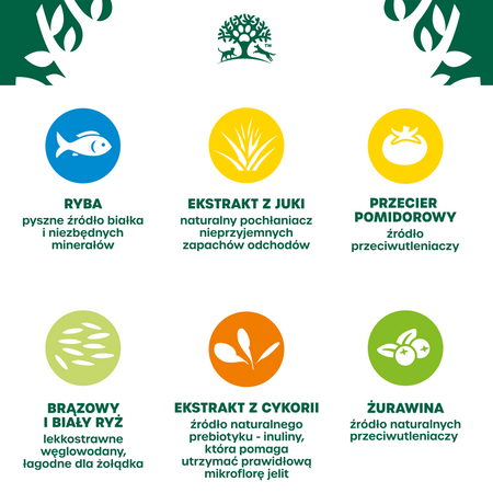 James Wellbeloved Adult 4 kg – sucha karma pełnoporcjowa dla dorosłych kotów 1-7 lat, bogata w rybę