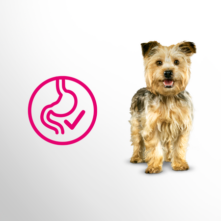 Perfect Fit Sucha Małe Rasy Kurczak 3x 2,6 kg