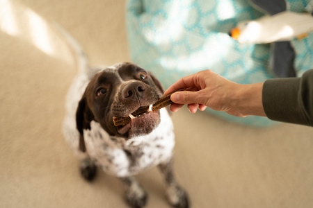 Denties with Duck & Carrot 180g