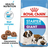 ROYAL CANIN Giant Starter Mother&Babydog karma sucha dla suk w ciąży i laktacji oraz szczeniąt, od 4 do 8 tygodnia życia, ras olbrzymich 