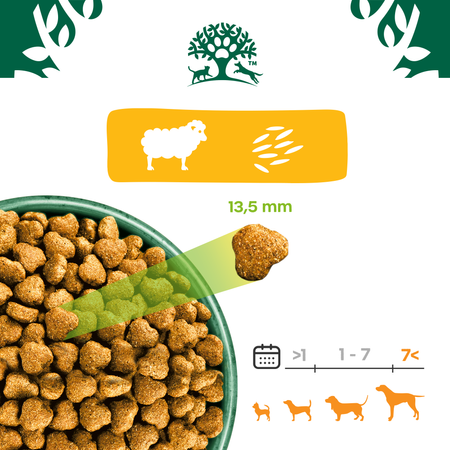 James Wellbeloved Senior 2 kg – sucha karma pełnoporcjowa dla starszych psów >7 lat, bogata w jagnięcinę i ryż