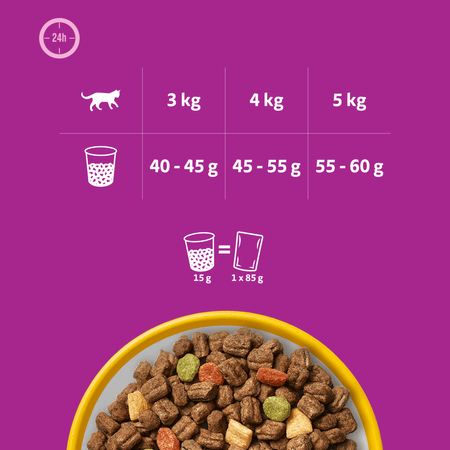 Whiskas Sterile Karma sucha z Kurczakiem 3,8 kg