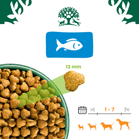 James Wellbeloved Adult 12 kg – sucha karma pełnoporcjowa dla dorosłych psów 1-7 lat, bogata w rybę i ryż