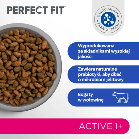 Perfect Fit™ Active (1+) 6x750g – sucha karma pełnoporcjowa dla dorosłych kotów, bogata w wołowinę