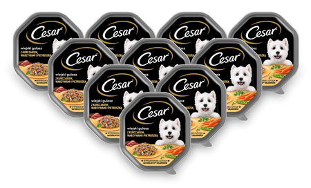 CESAR tacka 14x150g – mokra karma pełnoporcjowa dla dorosłych psów, w sosie, z kurczakiem, warzywami i pietruszką