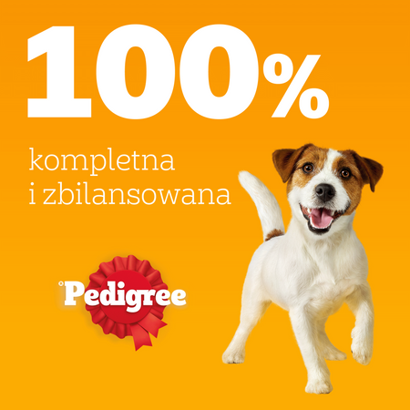 Pedigree Adult Wybór Smaków w galaretce 4x 100g