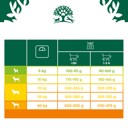 James Wellbeloved Senior 12 kg – sucha karma pełnoporcjowa dla starszych psów >7 lat, bogata w jagnięcinę i ryż