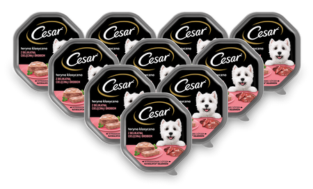 CESAR tacka 14x150g – mokra karma pełnoporcjowa dla dorosłych psów, teryna z delikatną cielęciną i drobiem