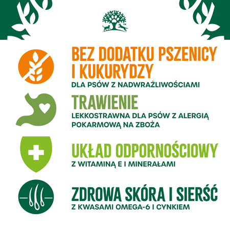 James Wellbeloved Adult 10 kg – bezzbożowa sucha karma pełnoporcjowa dla dorosłych psów 1-7 lat, bogata w indyka i warzywa