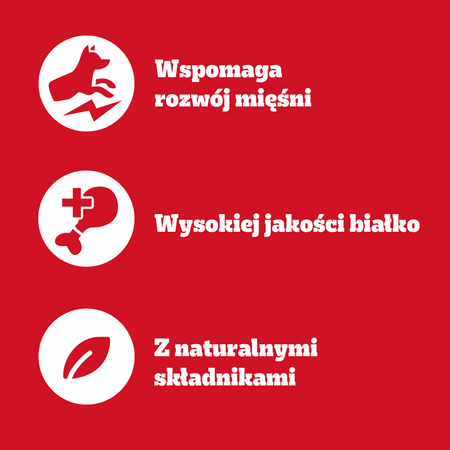 Pedigree Adult Protein+ mix smaków w galaretce 4x 85g