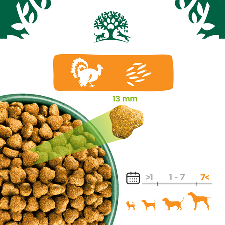 James Wellbeloved Senior 2 kg – sucha karma pełnoporcjowa dla starszych psów >7 lat, bogata w indyka i ryż