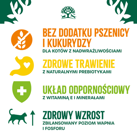 James Wellbeloved Kitten 1,5 kg – sucha karma pełnoporcjowa dla kociąt <12 miesięcy, bogata w indyka i ryż