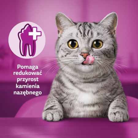 Whiskas Dentabites dentystyczny przysmak 40g