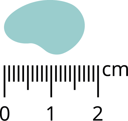 Pan Mięsko Wieprzowina z dzikiem XL 3kg