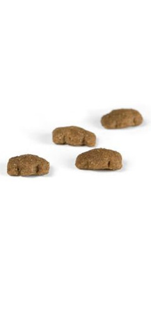 JOSERA Kids 900g - sucha karma dla dorastających psów średnich i dużych ras od 2 miesiąca życia