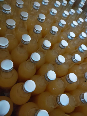 Gospodarstwo Sadownicze Paweł Bieńkowski