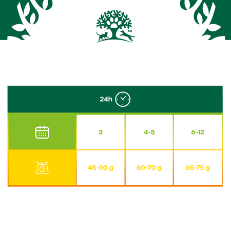 James Wellbeloved Kitten 1,5 kg – sucha karma pełnoporcjowa dla kociąt <12 miesięcy, bogata w indyka i ryż