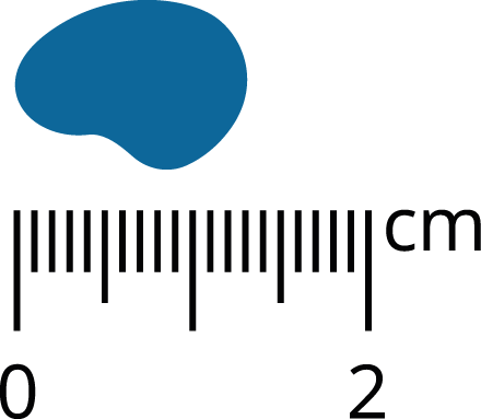Pan Mięsko Cielęcina z przepiórką L szczeniak 20kg