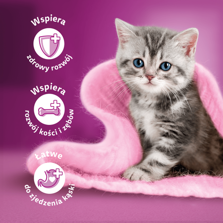 WHISKAS Junior saszetka 12 x 85 g Drobiowe Frykasy - mokra karma pełnoporcjowa dla kociąt, w galaretce (kawałki z: kurczakiem, indykiem, drobiem, kaczką)