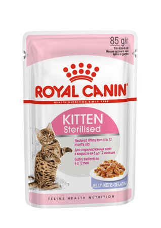 ROYAL CANIN Kitten Sterilised w galaretce karma mokra w galaretce dla kociąt do 12 miesiąca życia, sterylizowanych