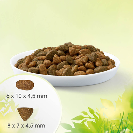 Perfect Fit™ Natural Vitality – sucha karma pełnoporcjowa dla dorosłych kotów, z wołowiną i kurczakiem – 2,4kg