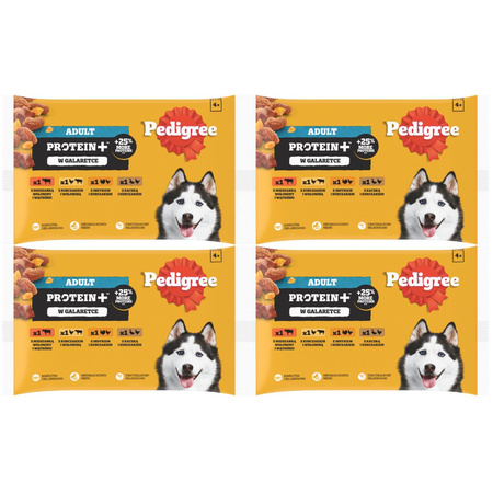 Pedigree Adult Protein+ mix smaków w galaretce 4x 4x 85g