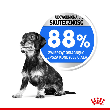 ROYAL CANIN Mini Light Care 8kg karma sucha dla psów dorosłych, ras małych tendencją do nadwagi