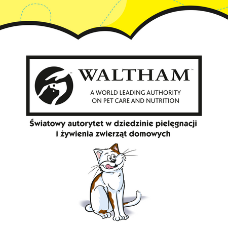 DREAMIES Mega Pack 180g - przysmak dla kota z pysznym serem