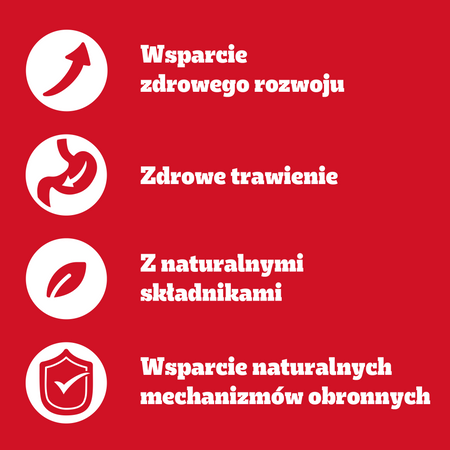 Pedigree Junior Wybór Smaków z ryżem 40x 100g