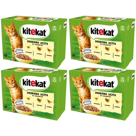 Kitekat mix smaków w galaretce 4x 12x 85g