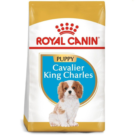 ROYAL CANIN Cavalier King Charles Spaniel Puppy