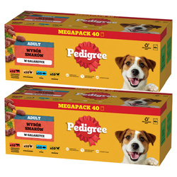 Pedigree Adult Wybór Smaków w galaretce 2x 40x100g