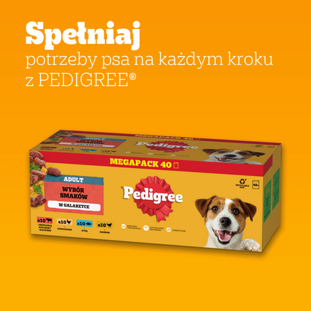 Pedigree Adult Wybór Smaków w galaretce 40x100g
