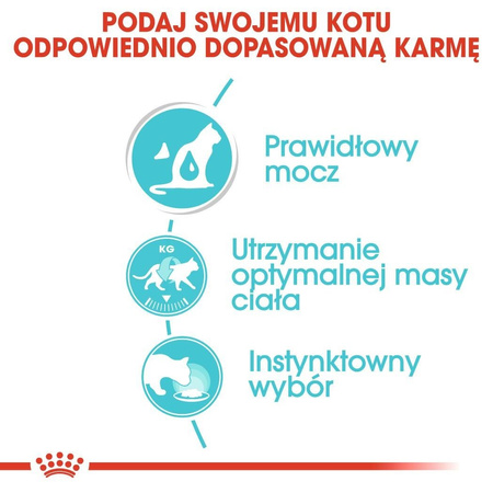 ROYAL CANIN Urinary Care sosie karma mokra w sosie dla kotów dorosłych, ochrona dolnych dróg moczowych