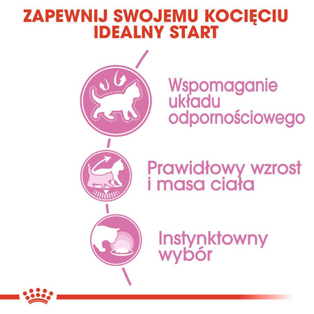 ROYAL CANIN Kitten Sterilised w galaretce karma mokra w galaretce dla kociąt do 12 miesiąca życia, sterylizowanych