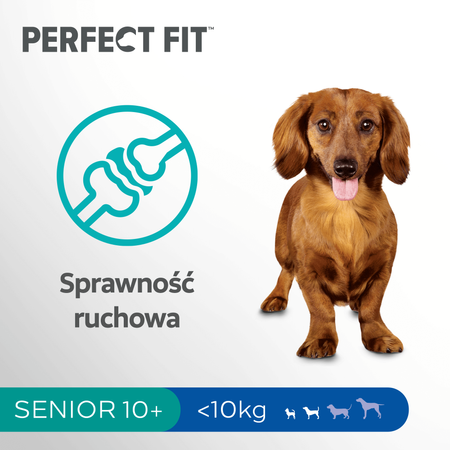 Perfect Fit™ Senior 10+ 825 g – sucha karma pełnoporcjowa dla psów małych ras powyżej 10 lat, bogata w kurczaka