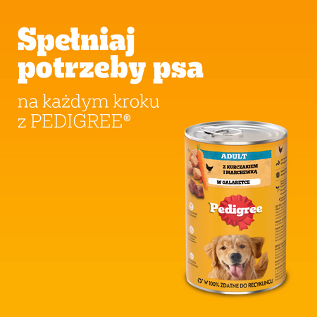 Pedigree kurczak marchew w galaretce 1200g