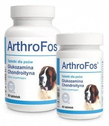 Dolfos ArthroFos 60tab.