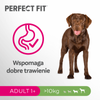 Perfect Fit™ Adult 1+ 11,5 kg – sucha karma pełnoporcjowa dla dorosłych psów dużych ras, bogata w kurczaka
