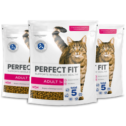Perfect Fit™ Adult (1+) 3x750g – sucha karma pełnoporcjowa dla dorosłych kotów, bogata w świeżego łososia