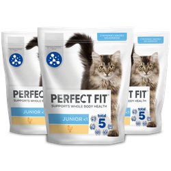 Perfect Fit™ (Junior <1) 3x750 g – sucha karma pełnoporcjowa dla kociąt, bogata w kurczaka