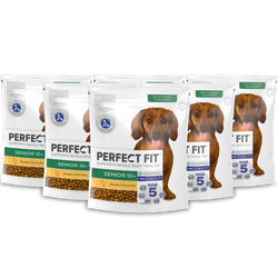 Perfect Fit Senior małe rasy kurczak 6x 825g