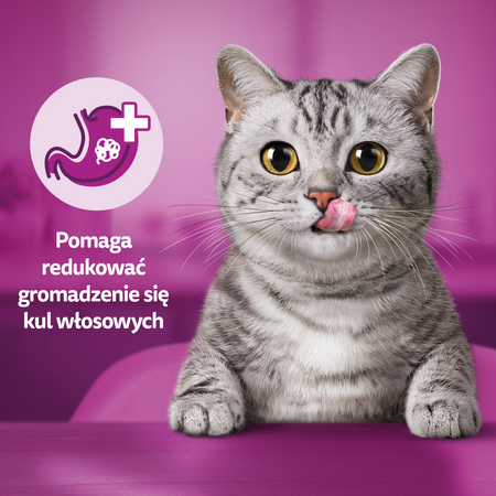 Whiskas Anti-Hairball przysmaki odkłaczające 50g