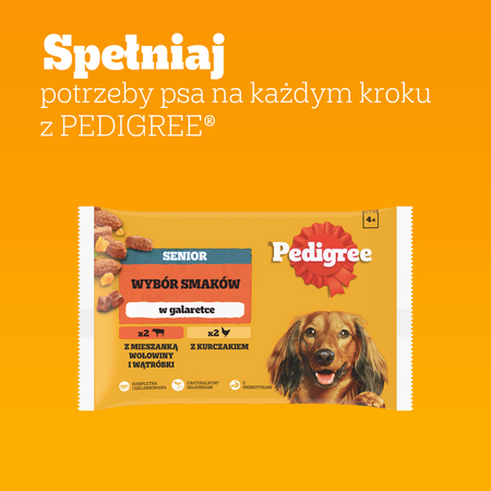 Pedigree Senior Wybór Smaków w galaretce 4x 100g