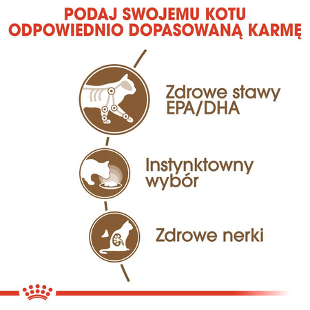 ROYAL CANIN Ageing +12 karma mokra